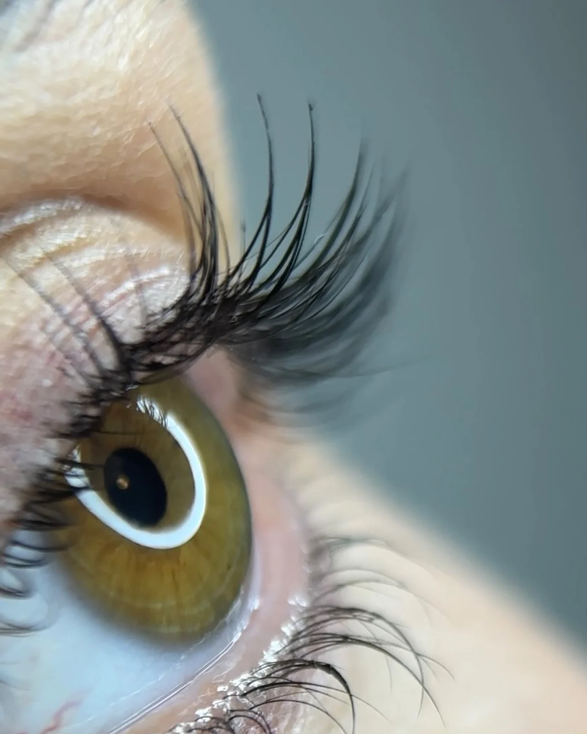 Ukázka úpravy obočí v Goldie Lashes